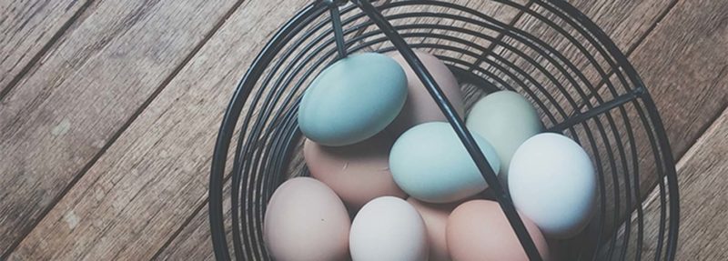 Hoarding Your Eggs B07Ef94B36Dc30Cc2C6555D238A4Dfc7645D1D37B93F5Eb3C7Acce7763635D75